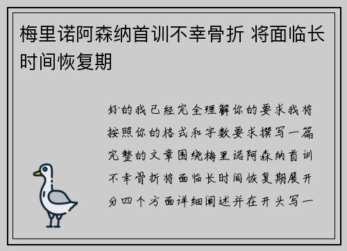 梅里诺阿森纳首训不幸骨折 将面临长时间恢复期